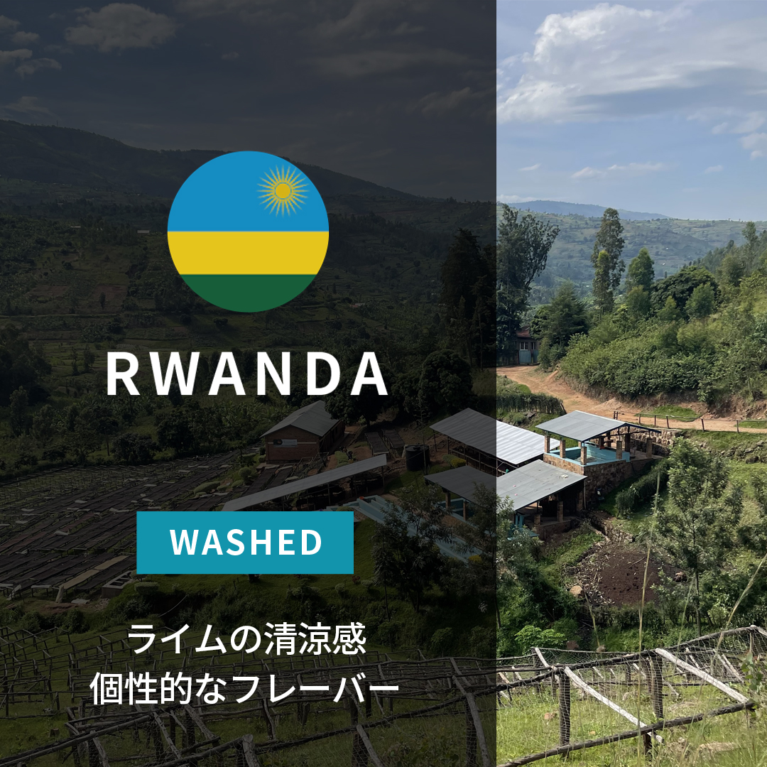 生豆　ルワンダ 5kg　 生豆　コスタリカ　5kg ルワンダ | ORIGIN COUNTRIES for Small Batch Coffee（Small